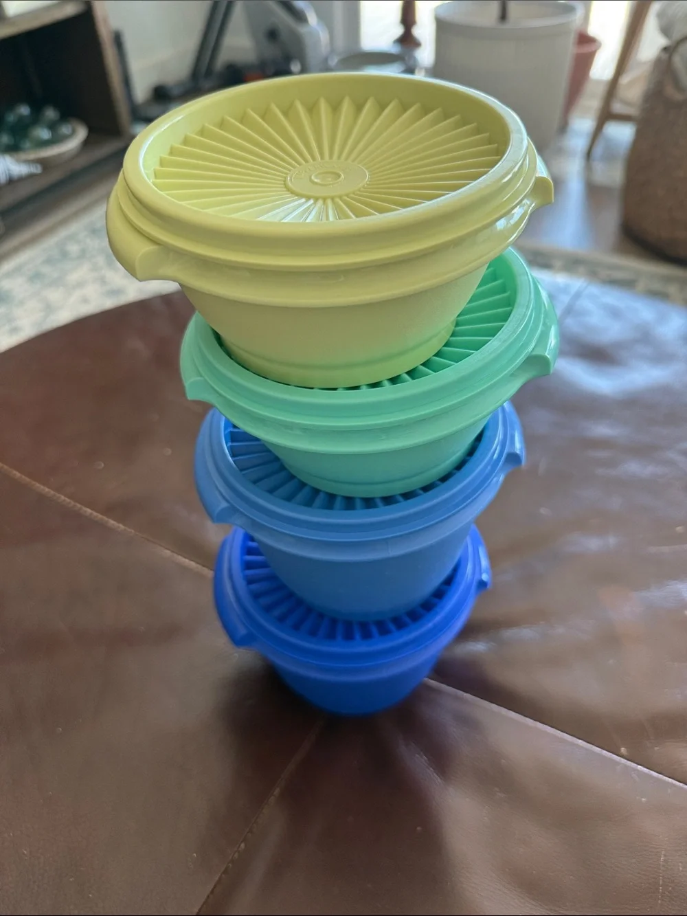 Tupperware Teal and Blue Round Food Storage Lids (Set)